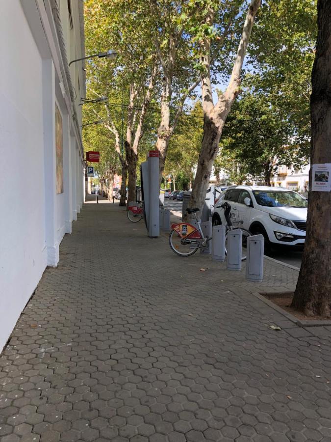 Apartamento 1 Dormitorio Y Salon Con Sofa Cama Bien Comunicado Con El Centro Sevilla Exteriér fotografie
